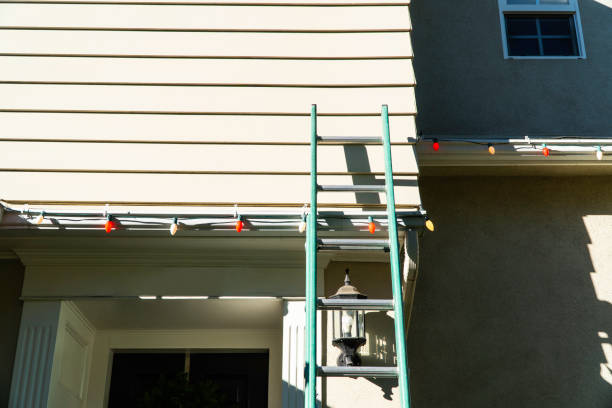 Best Residential Vinyl Siding Installation  in El Rio, CA